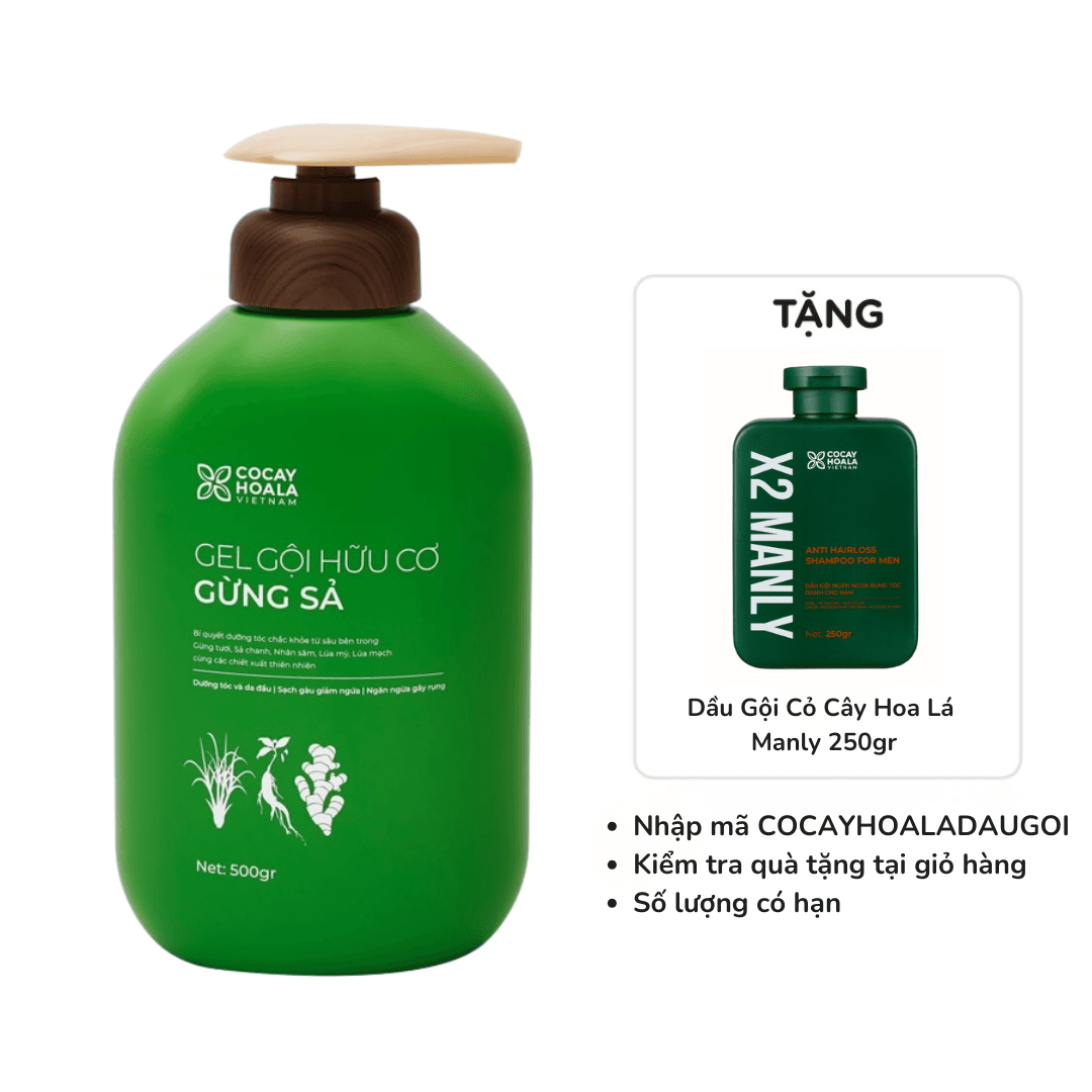 [Có quà tặng] Dầu gội thảo dược Gừng Sả Cỏ Cây Hoa Lá (Chai 500 gram) Tặng 1 Dầu Gội Cỏ Cây Hoa Lá Manly 250 gram